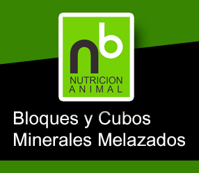 Suplemento para ganado