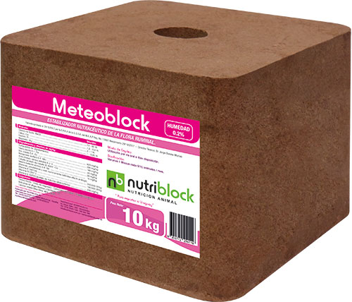 Meteoblock